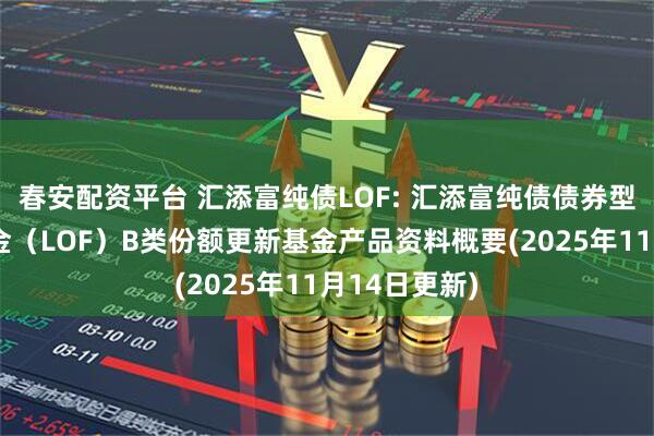 春安配资平台 汇添富纯债LOF: 汇添富纯债债券型证券投资基金（LOF）B类份额更新基金产品资料概要(2025年11月14日更新)